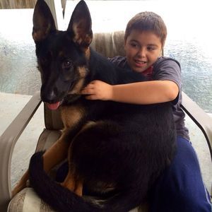 Meet your Posher, Henry david